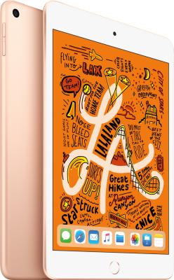 Refurbished iPad mini 5 256Gb Goud. WIFI + 4G. Lichte Gebruikssporen
